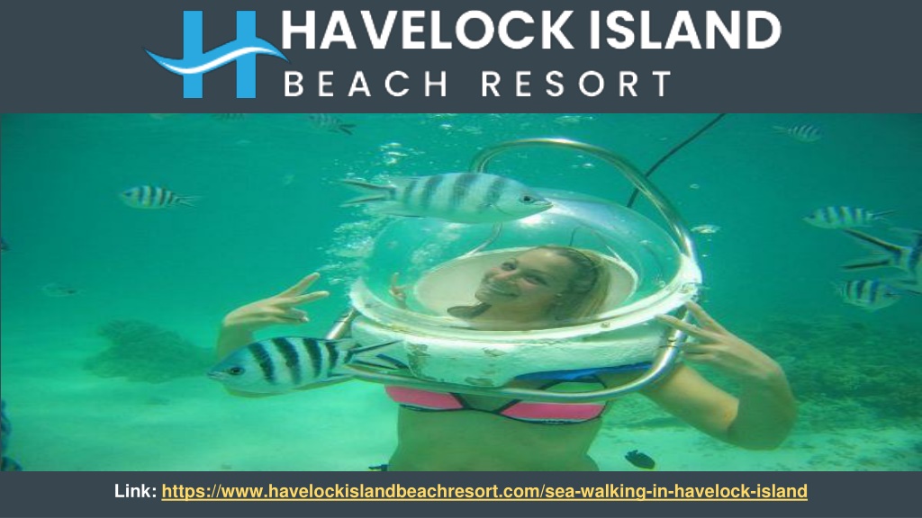 PPT Sea Walking in Havelock Island PowerPoint Presentation, free