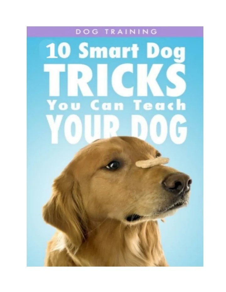 PPT Best Dogs Training Tips PowerPoint Presentation, free download