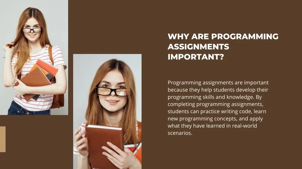 PPT Programming Assignment Help by Experts PowerPoint Presentation