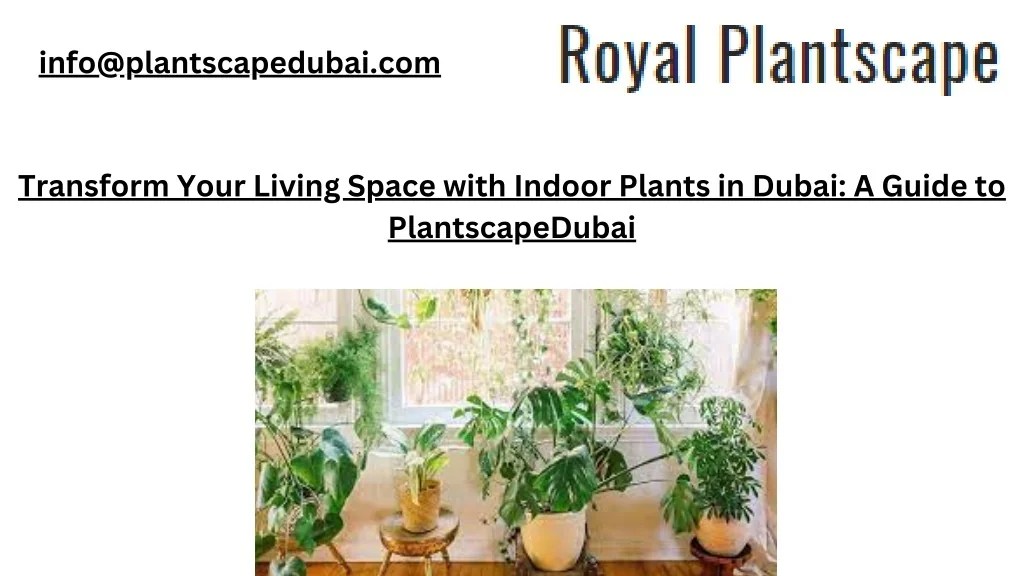PPT Transform Your Living Space with Indoor Plants in Dubai A Guide