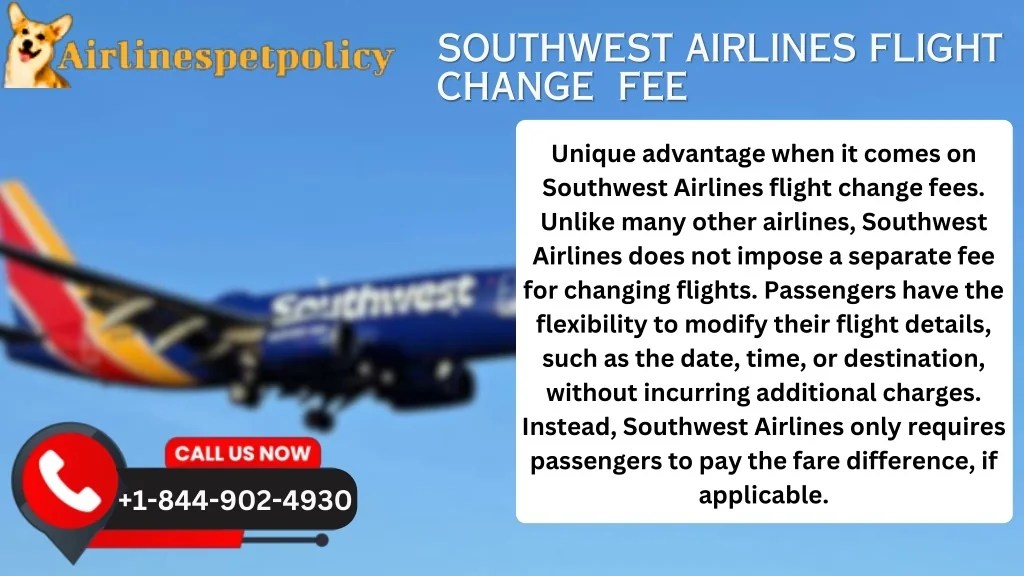 PPT SOUTHWEST AIRLINES FLIGHT CHANGE POLICY PowerPoint Presentation, free download ID12274564