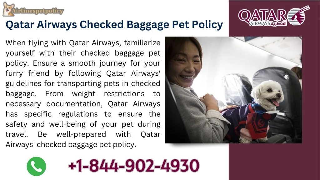 PPT QatarAirwaysPetPolicy PowerPoint Presentation, free download ID