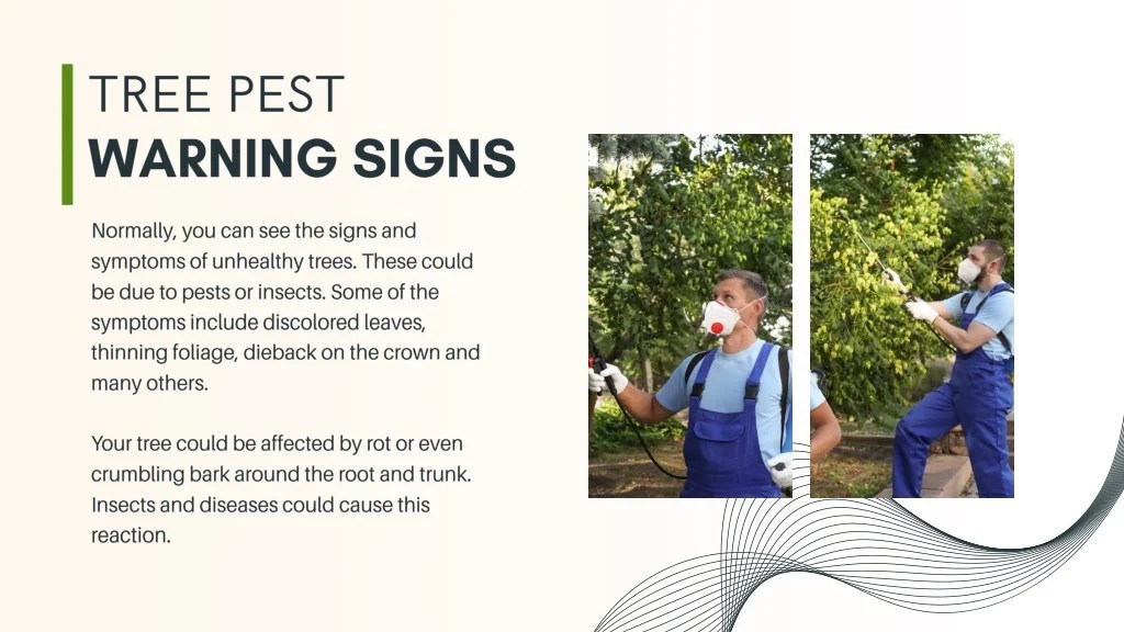 PPT Tree Pest Control Safeguarding Your Arboreal Haven with Essential