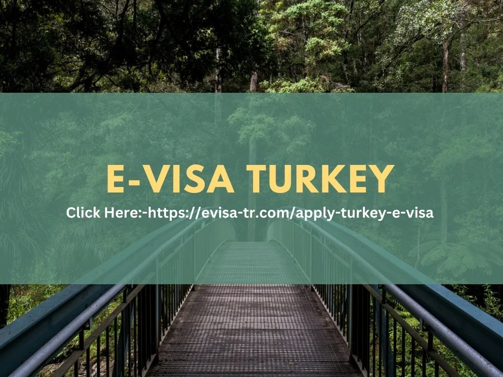 PPT Online EVISA TURKEY In USA PowerPoint Presentation, free