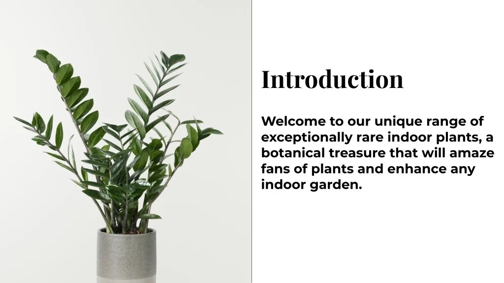 PPT exotic flora indoor plants kochi PowerPoint Presentation, free