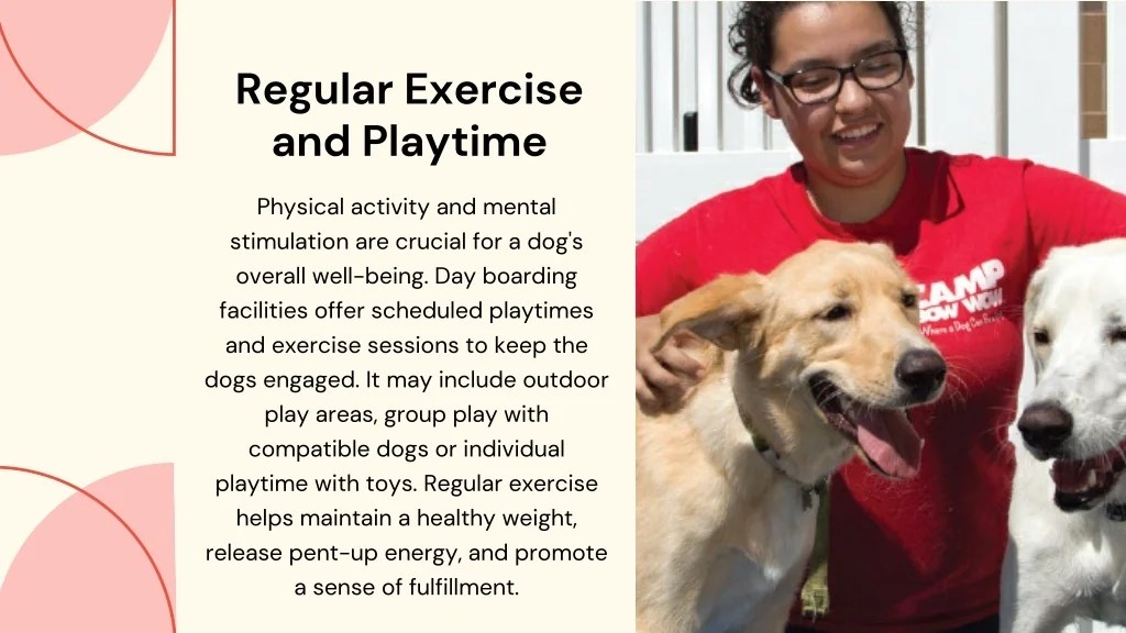 PPT Dog Boarding Houston PowerPoint Presentation, free download ID