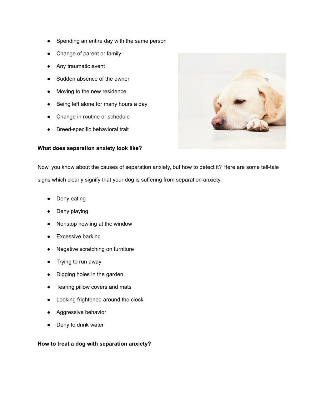 PPT 12 Common Signs Of Stress In Pets You Shouldnt Ignore PowerPoint(03)