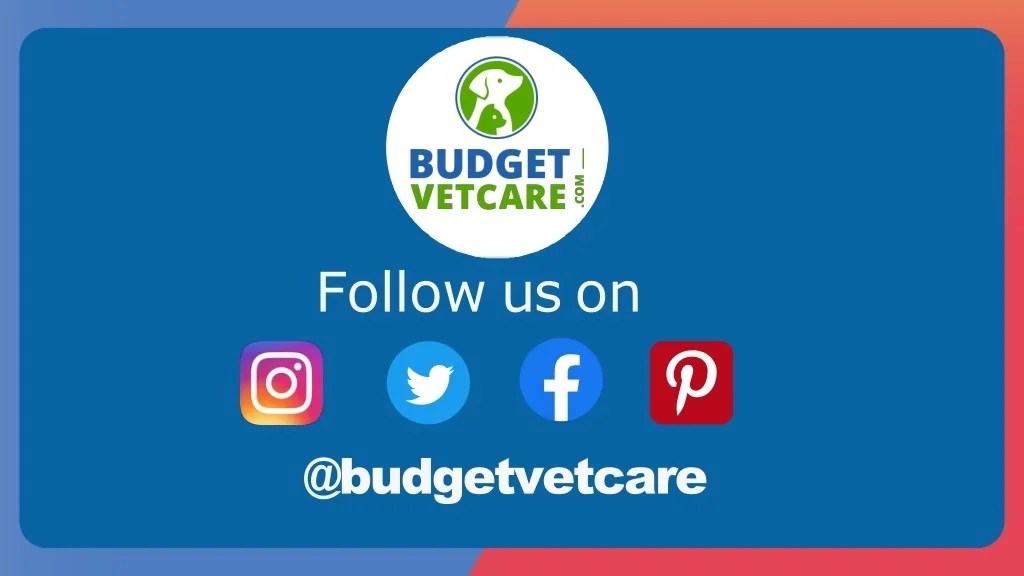 PPT Diffrence Between Heartgard Plus & Revolution PowerPoint