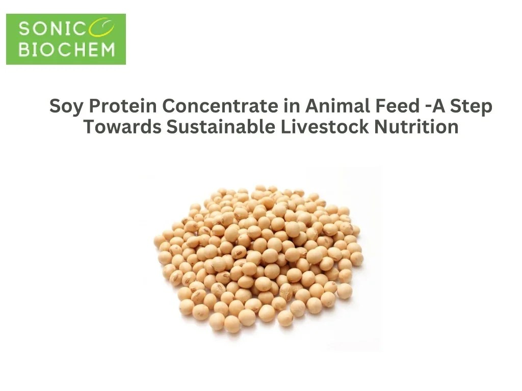 PPT Soy Protein Concentrate in Animal Feed A Step Towards Sustainable