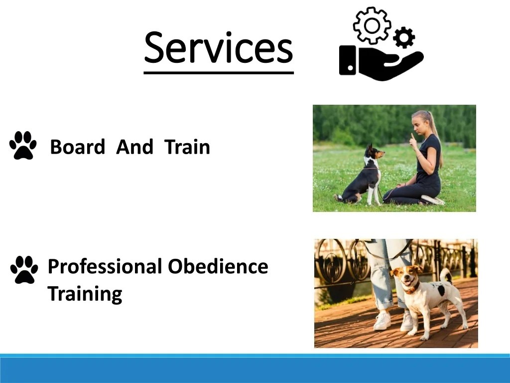 PPT Dog Training Round Rock TX PowerPoint Presentation, free download