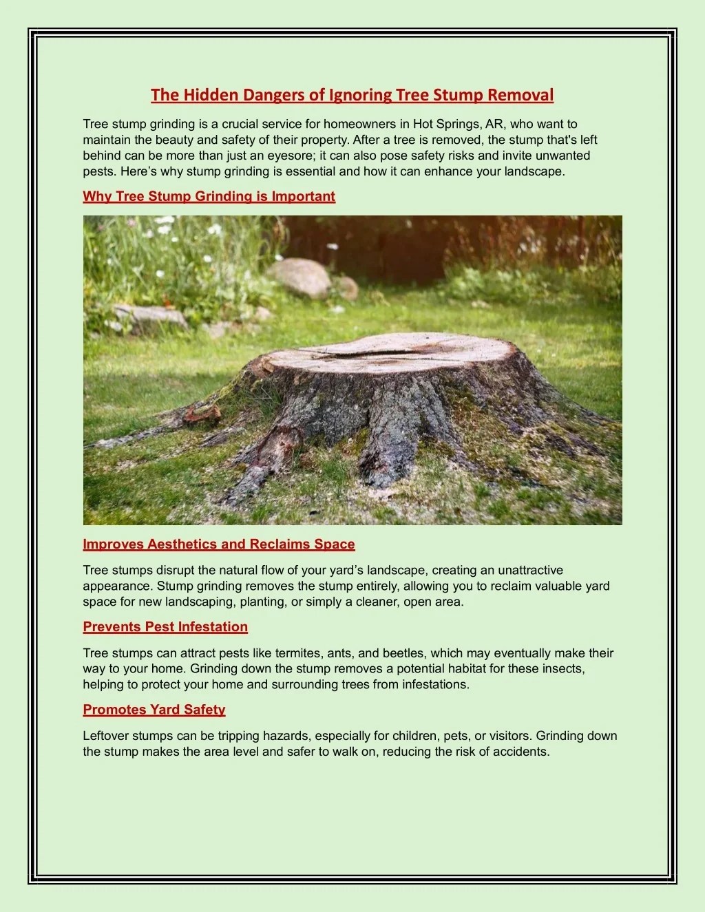PPT The Hidden Dangers of Ignoring Tree Stump Removal PowerPoint(03)