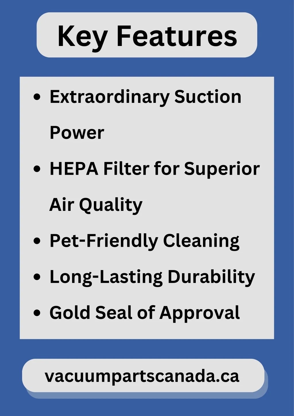 PPT The Ultimate Rug Cleaner Guide DIY Solutions and Professional