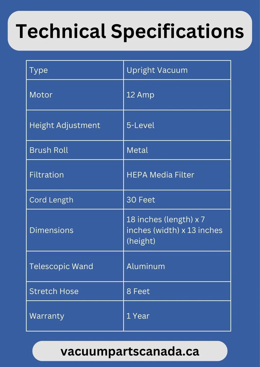 PPT The Ultimate Rug Cleaner Guide DIY Solutions and Professional