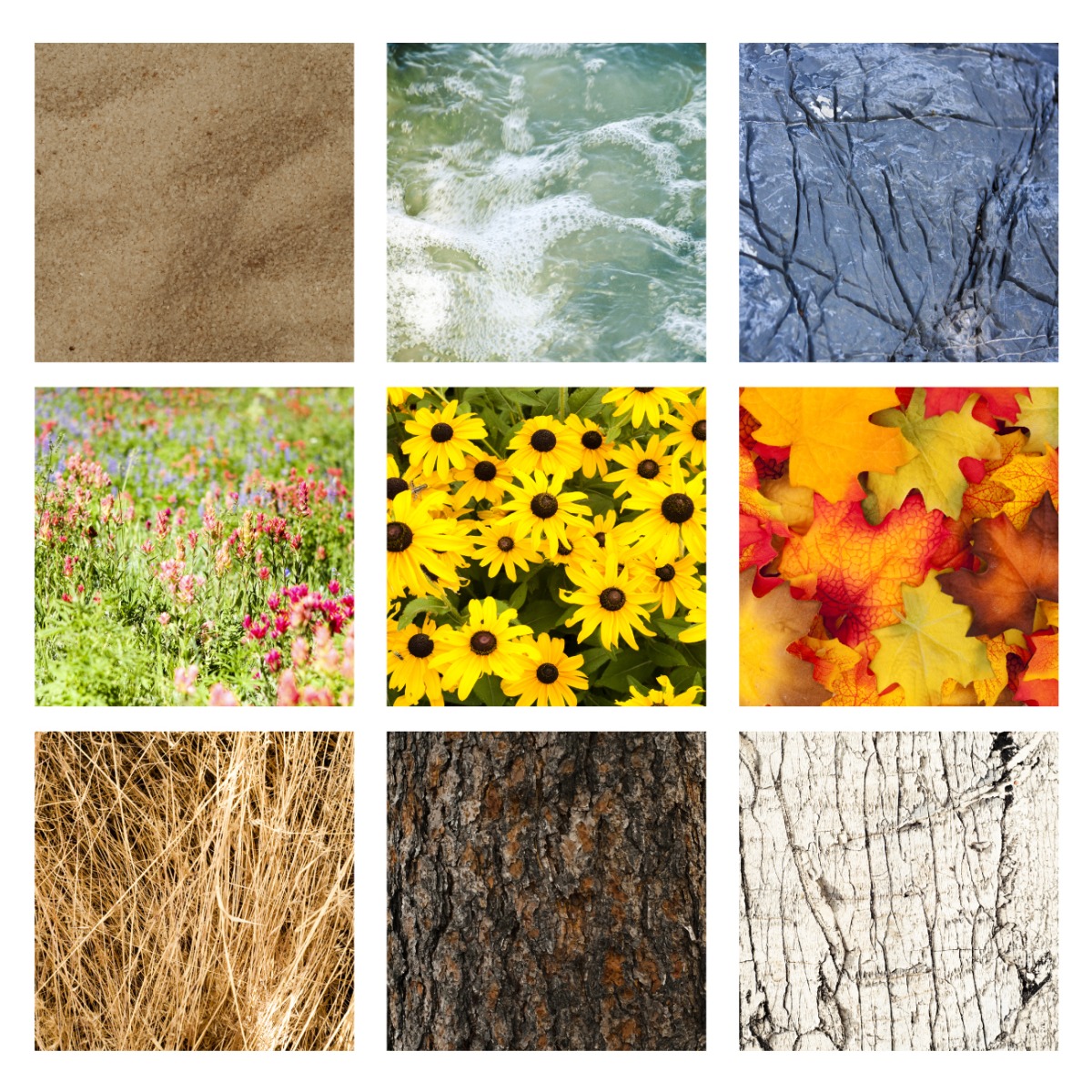 Cricut Cricut Access Premium Subscription