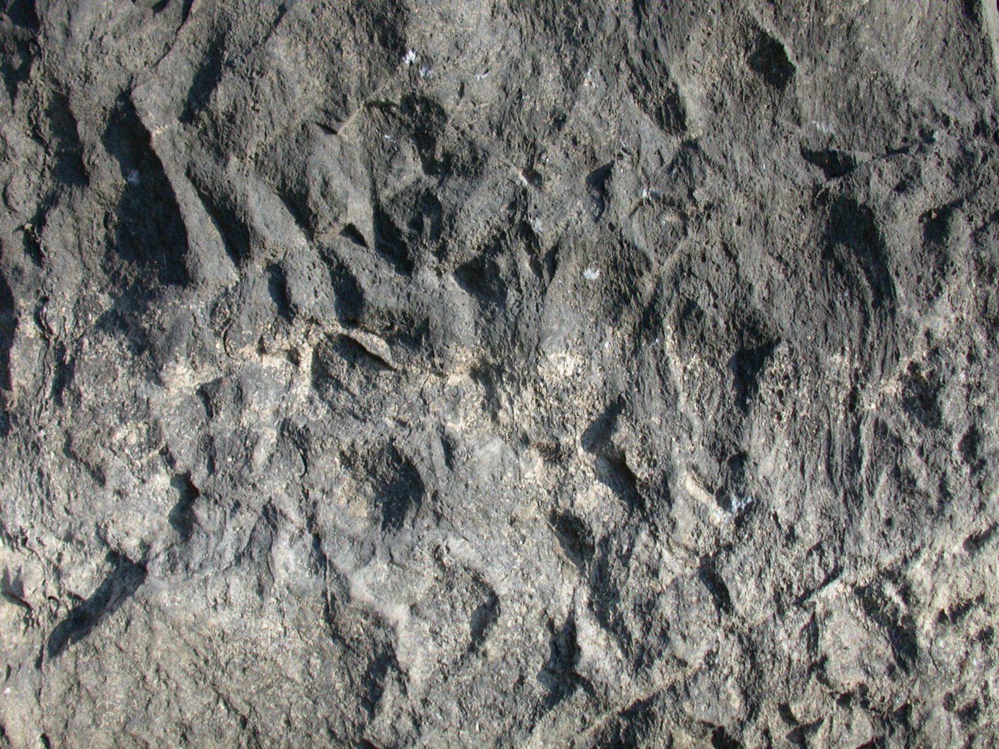 Cave Rock Texture Images Galleries With A Bite!