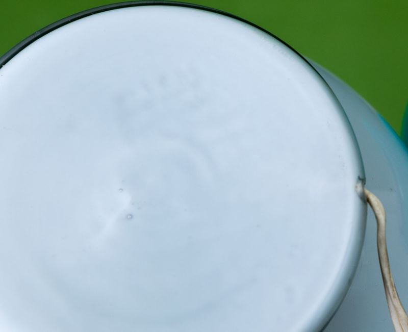 Venini, Murano, 1960 ca Asta Villa di Maser. Storia di una casa e di