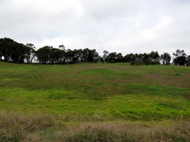 Property and Houses for Sale in Bridgetown (Page 4)