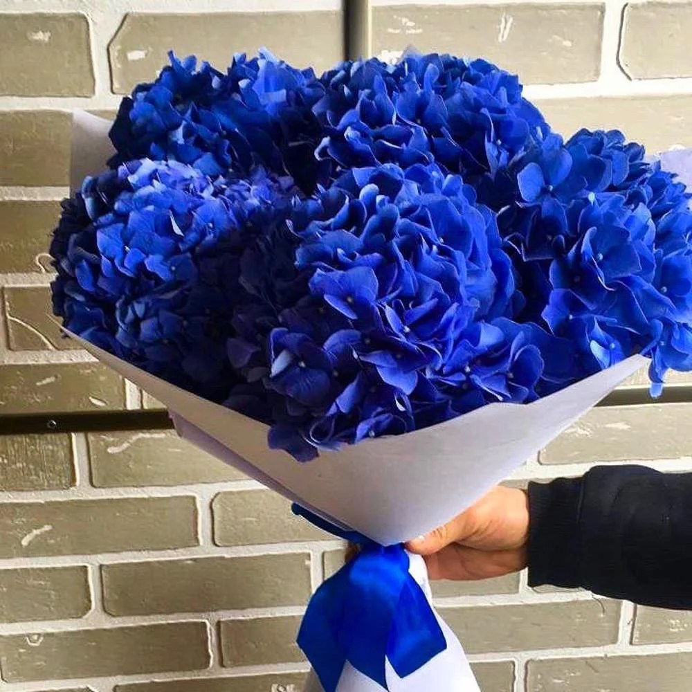 Bouquet '5 Blue Hydrangeas' order and send for 80 with same day