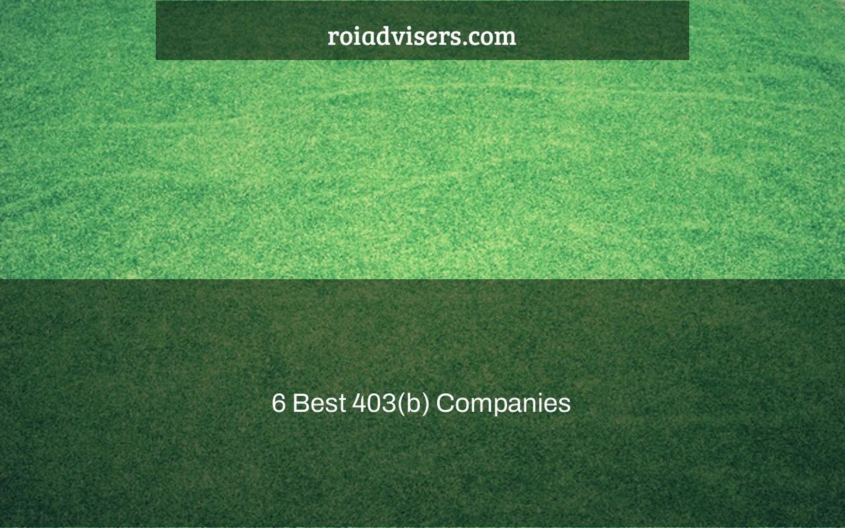 6 Best 403(b) Companies ROI Advisers