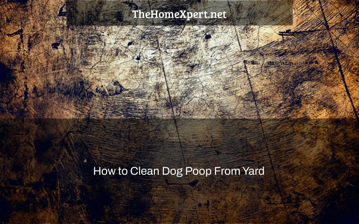 How to Clean Dog Poop From Yard The Home Expert