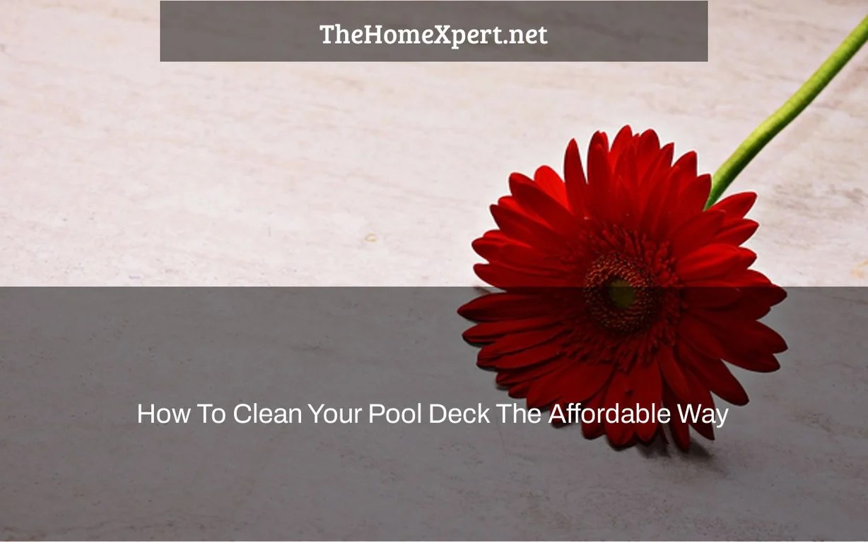 How To Clean Your Pool Deck The Affordable Way The Home Expert