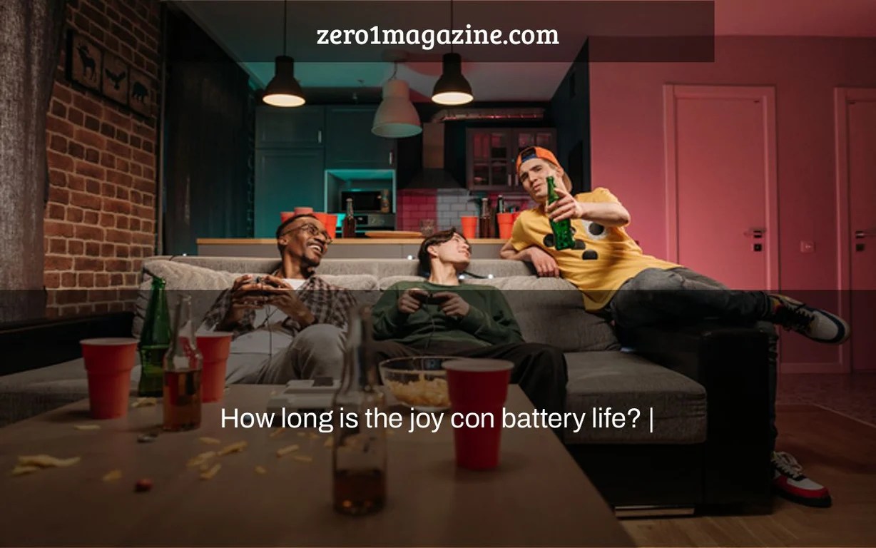 How long is the joy con battery life? Zero 1 Magazine