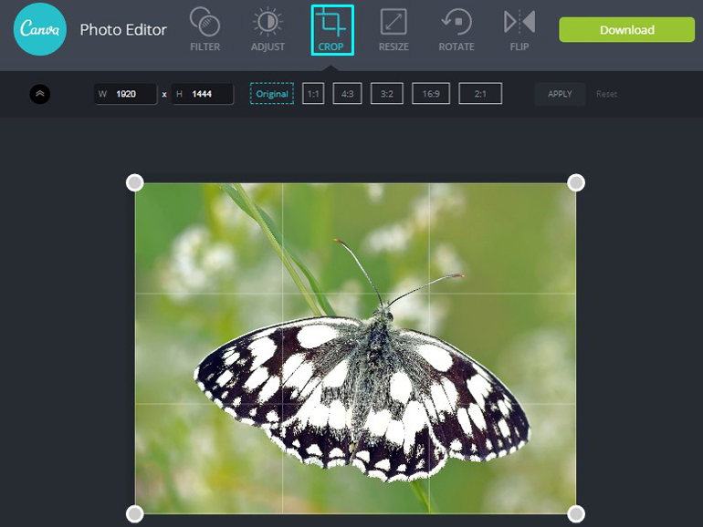 My Take on Canva Photo Editor ImageEditing