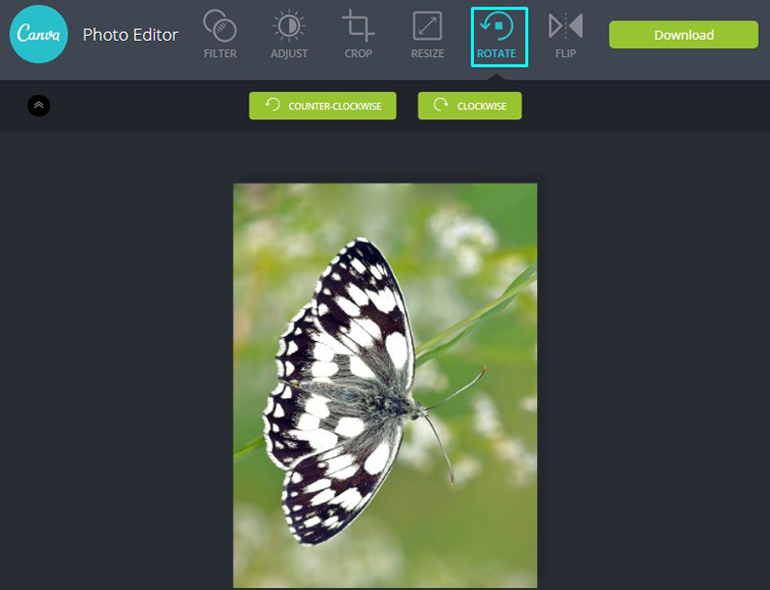 My Take on Canva Photo Editor ImageEditing