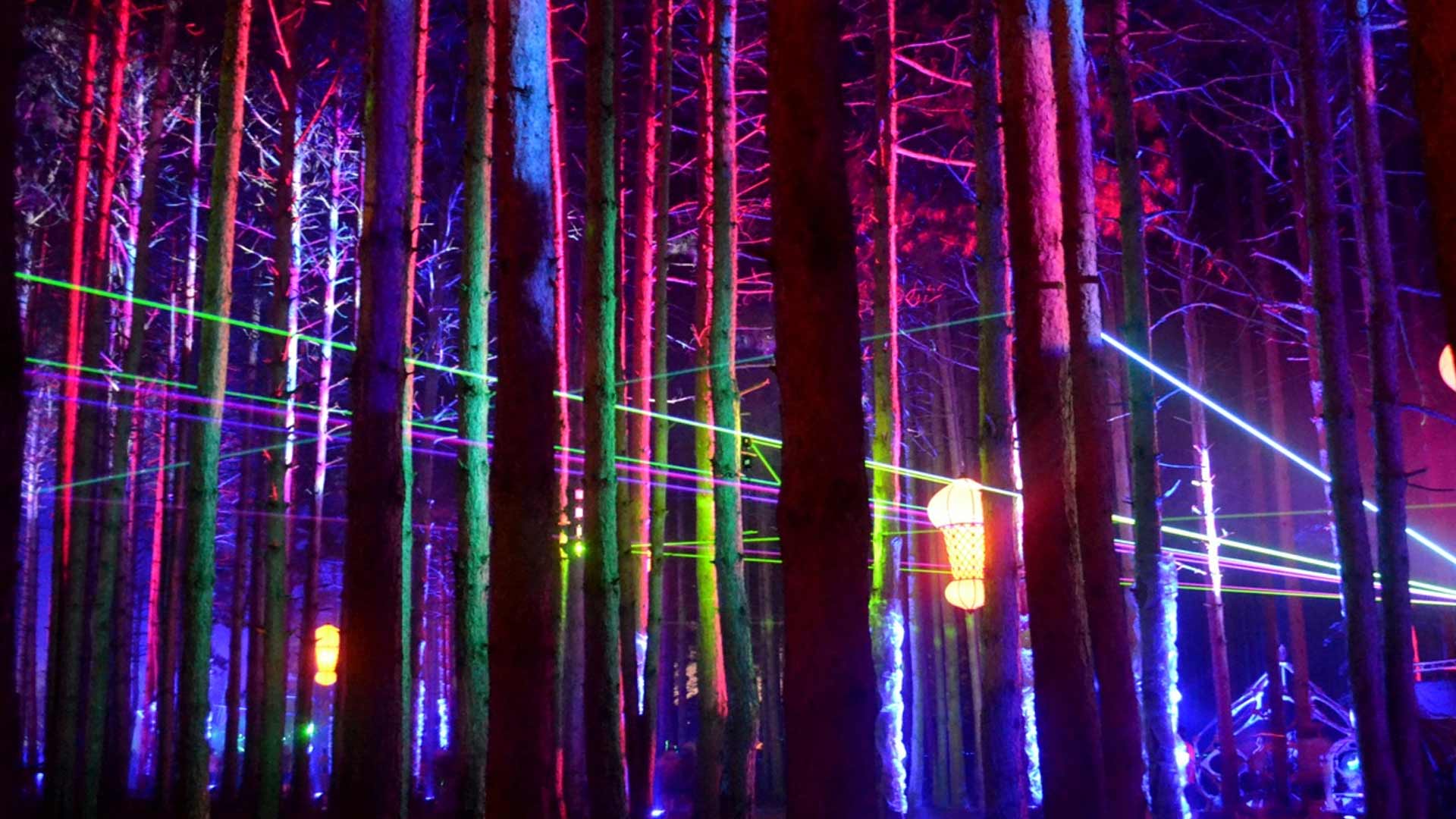 Electric Forest Image Engineering
