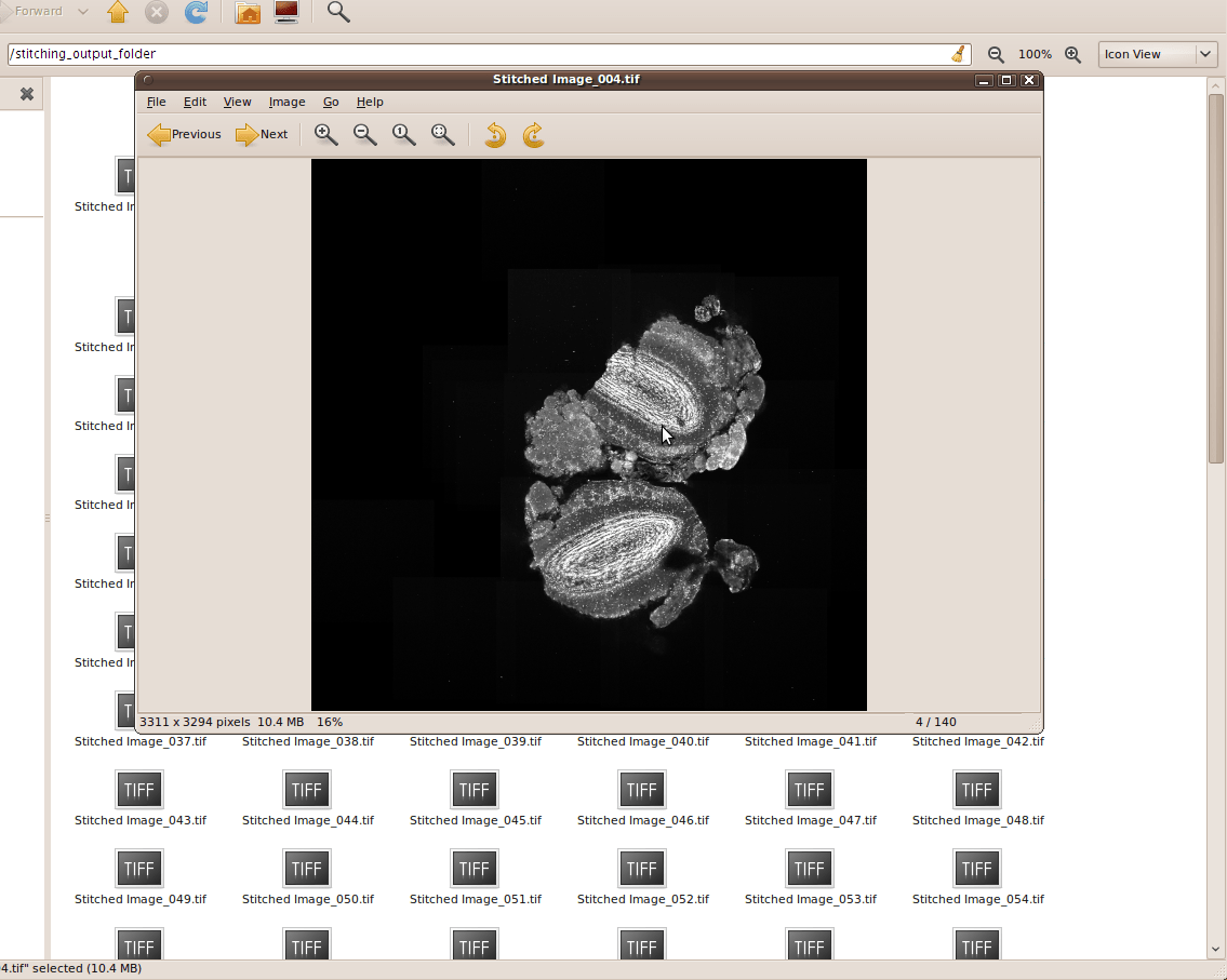 Stitch and Align a sequence of grid images Tutorial ImageJ