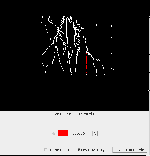 Volume Calculator ImageJ