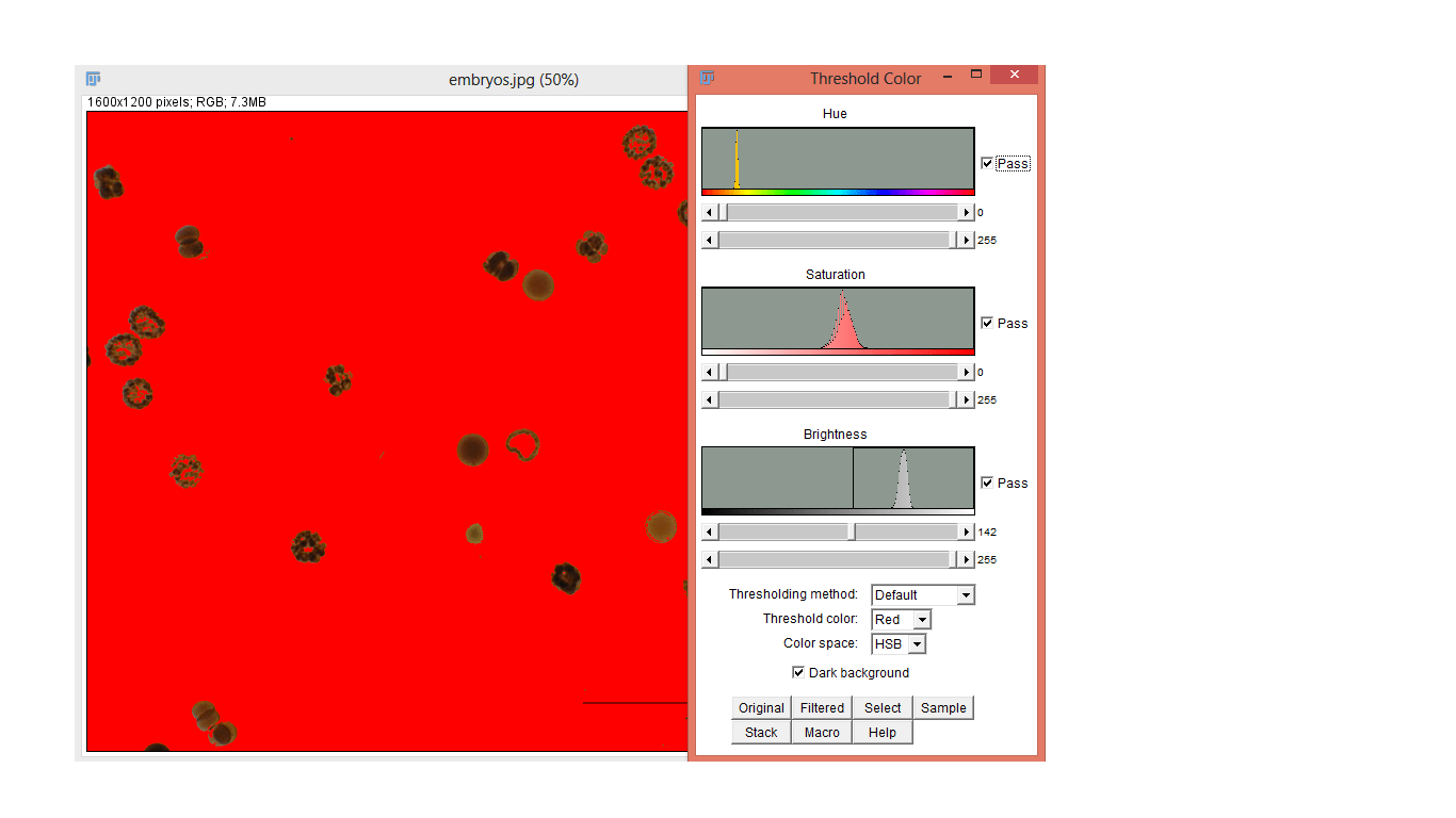 Particle Analysis ImageJ