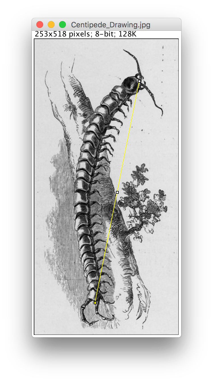 Introduction to Fiji