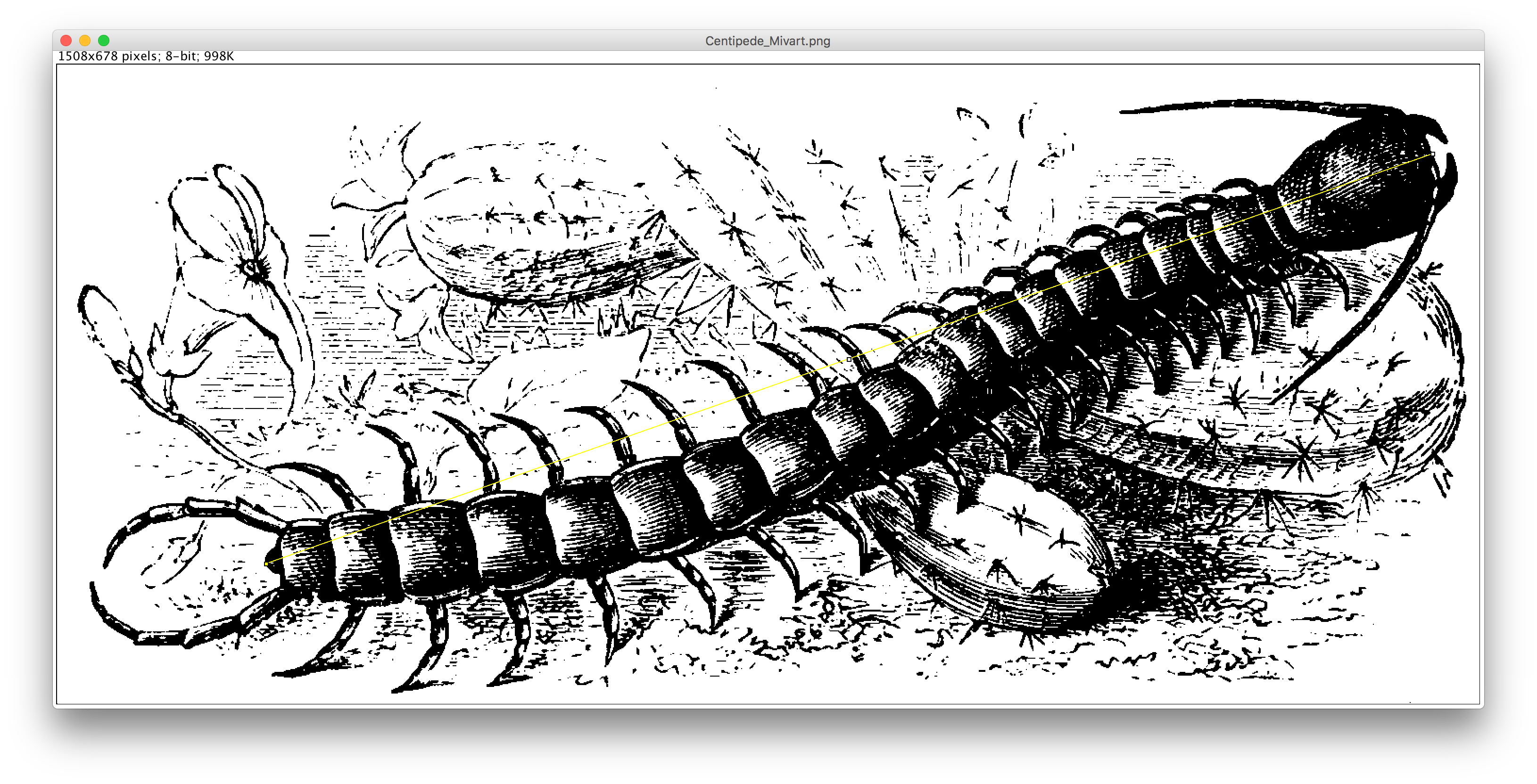 Introduction to Fiji