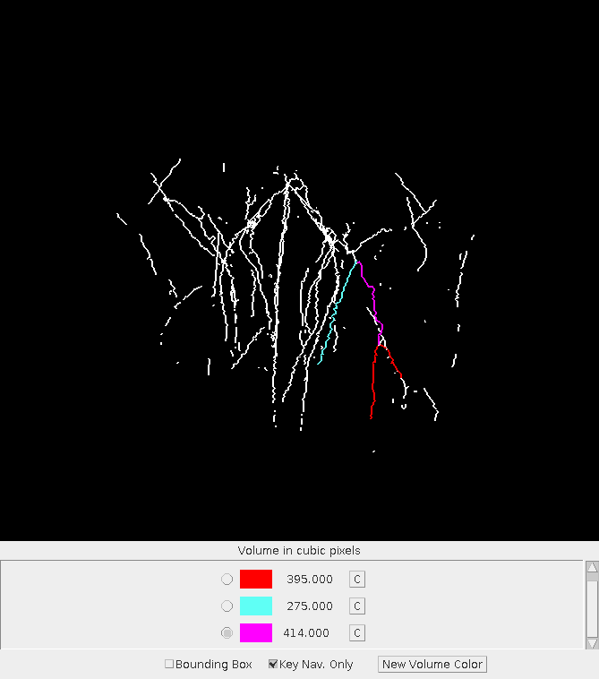 Volume Calculator ImageJ