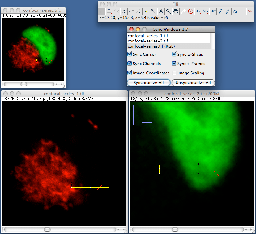 Imagej nd2 plugin windows pagart