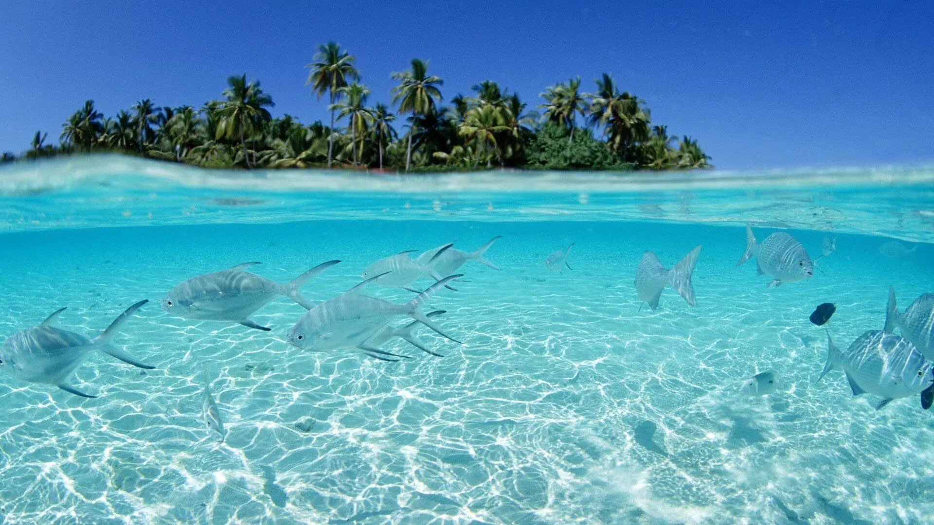 Imágenes del Mar muy Bonitas Perfectas para fondos de pantalla