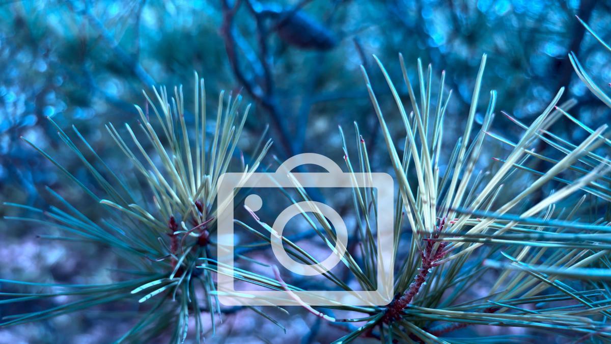 Doce horas de escalada en el I Open Internacional de Navarra Noticias de Más deporte en Diario