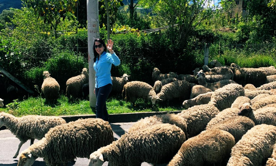 Borregos en campaña "La estrategia no es buena para atraer indecisos"