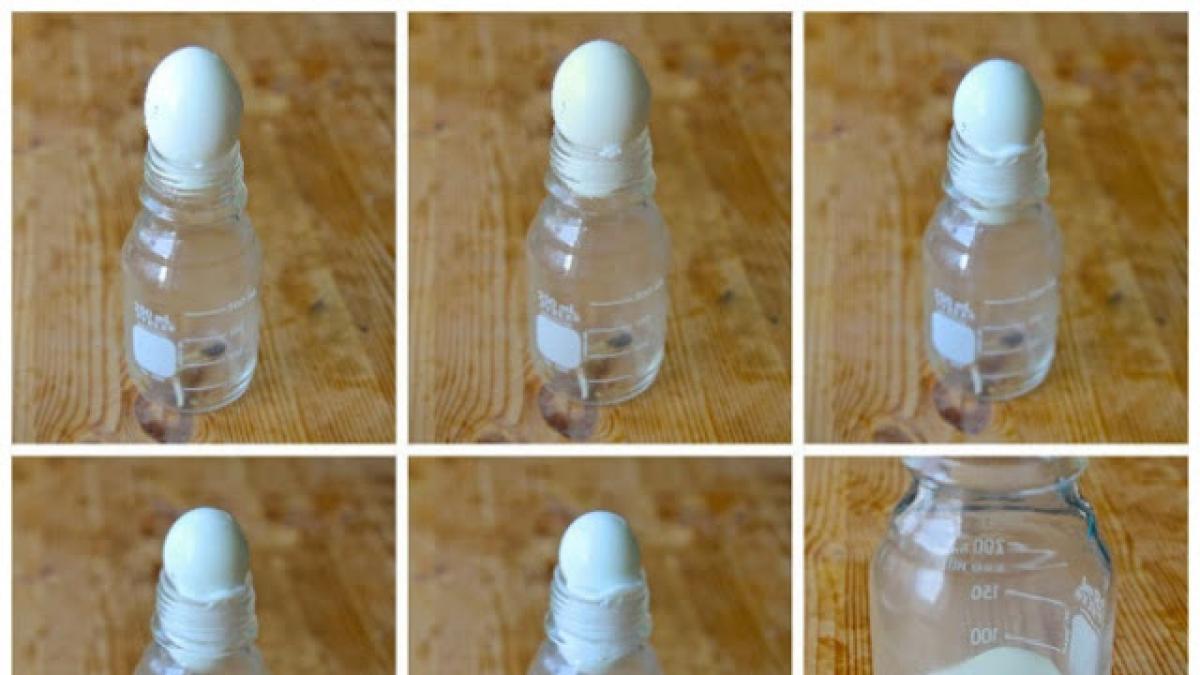 Ciencia en casa Este experimento te va a costar un huevo hacerlo