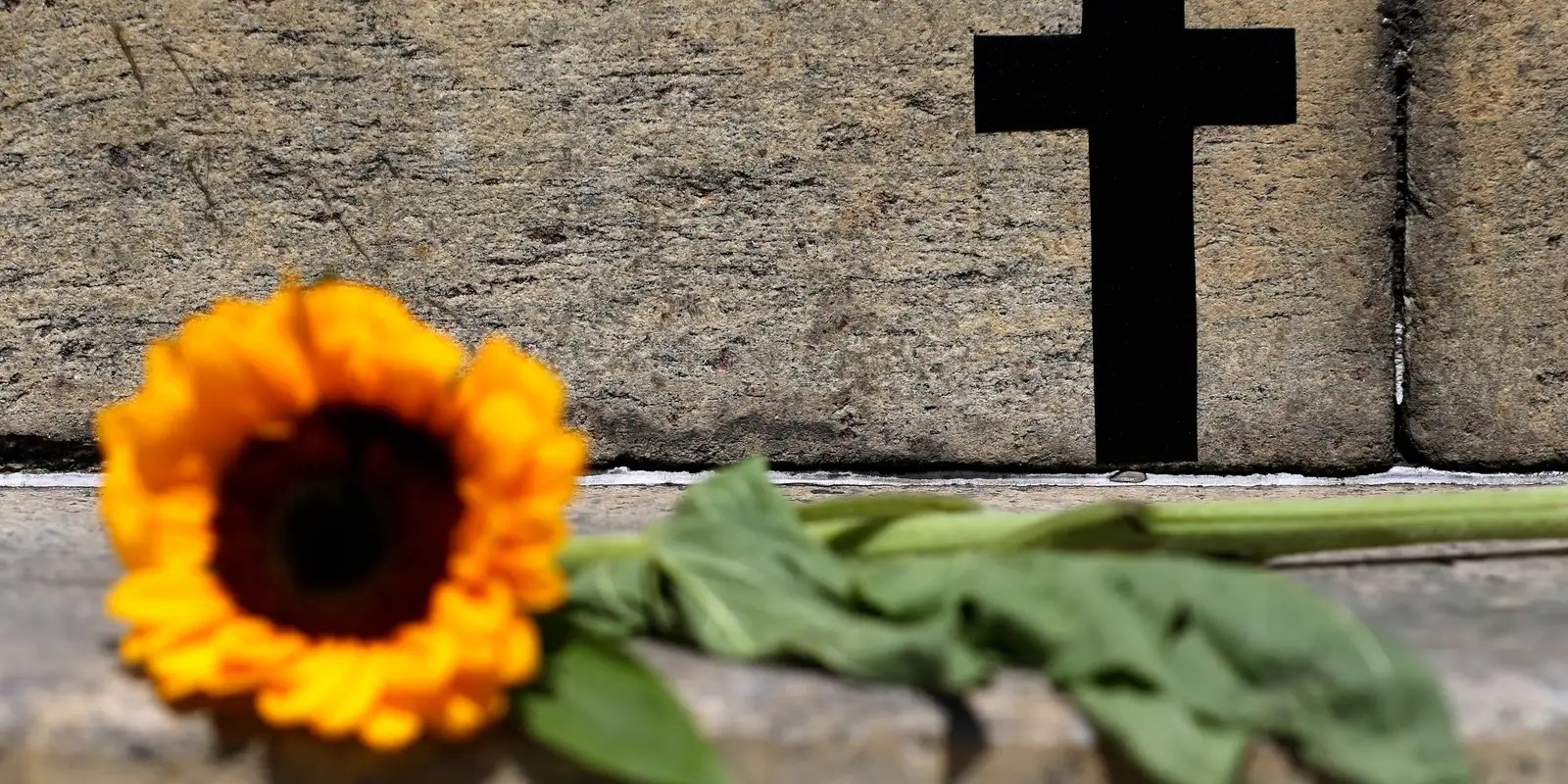 SP: feminicídio aumenta 41%; violação de medida protetiva sobe 31,9%