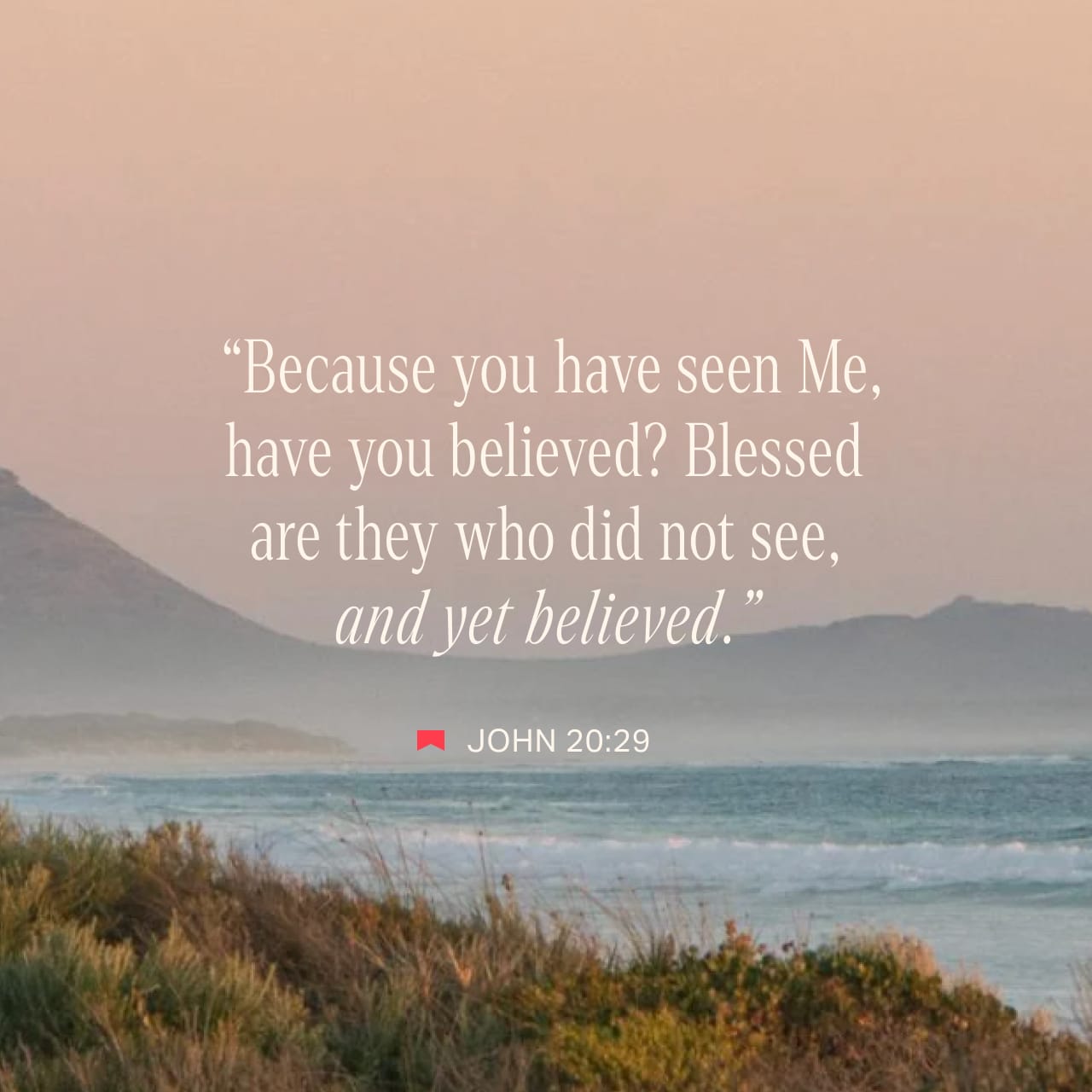 John 202930 Then Jesus told him, “Because you have seen me, you have(08)