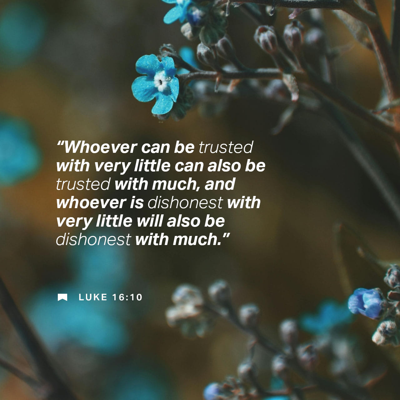 Luke 16931 And I say unto you, Make to yourselves friends of the