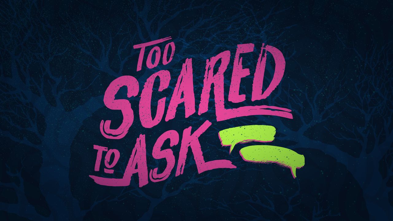 Too Scared to Ask Real Questions & Real Answer
