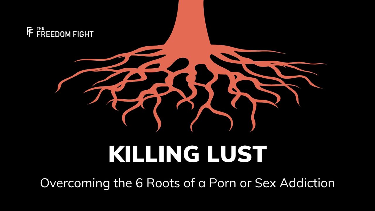 Killing Lust: Overcoming the 6 Roots of a Porn or Sex Addiction - Day 4