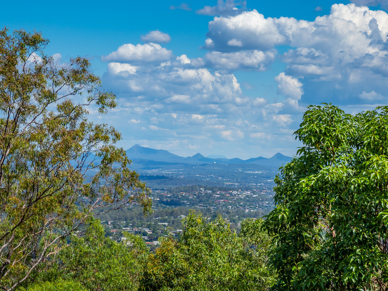 Ipswich Property Market Snapshot Image Realty