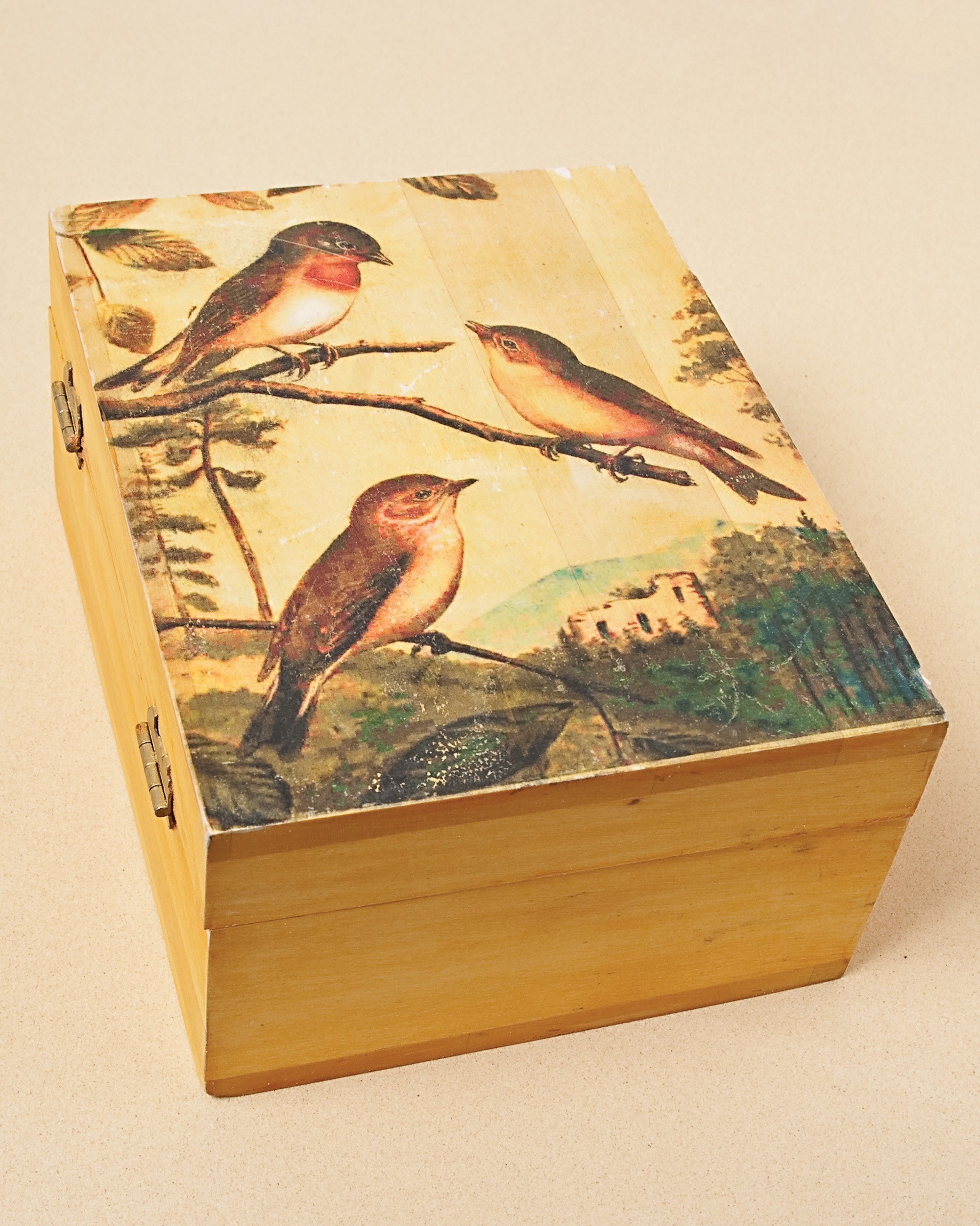 Lesley Rileys TAP Transfer Artist Paper 5pk By Riley, Lesley