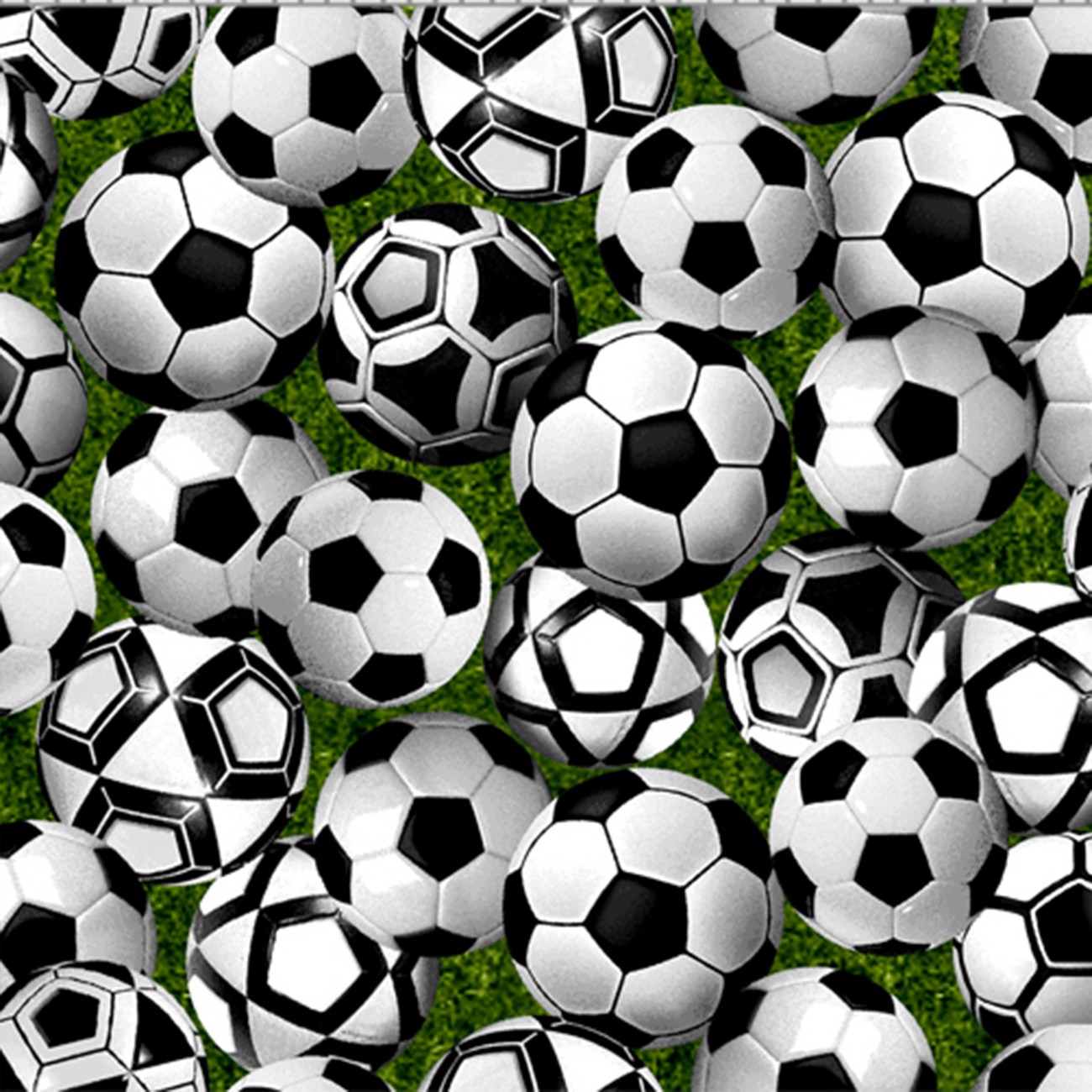 Game DaySoccer Balls