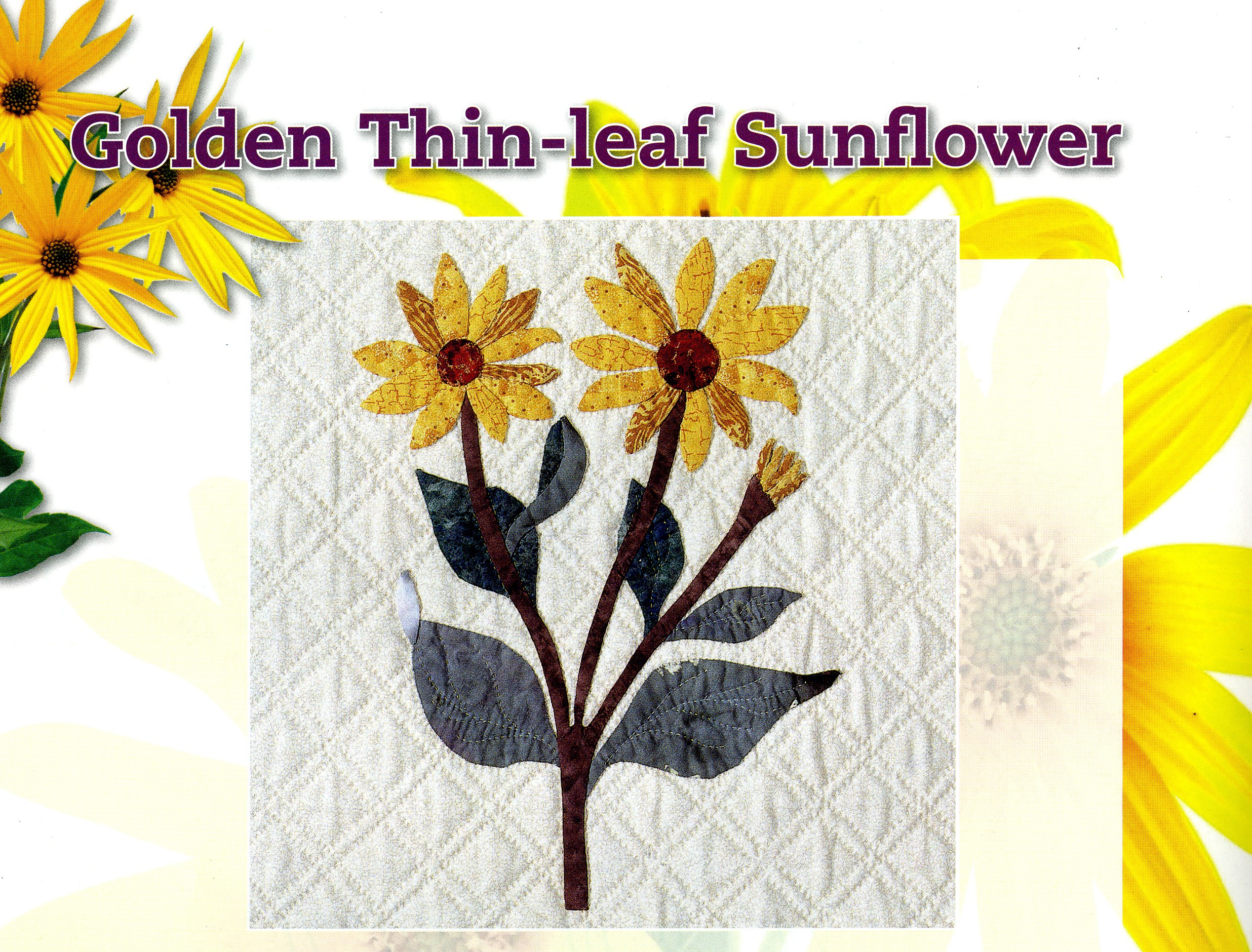 Wildflower Applique & Embroidery Softcover By Oglesby, Bea