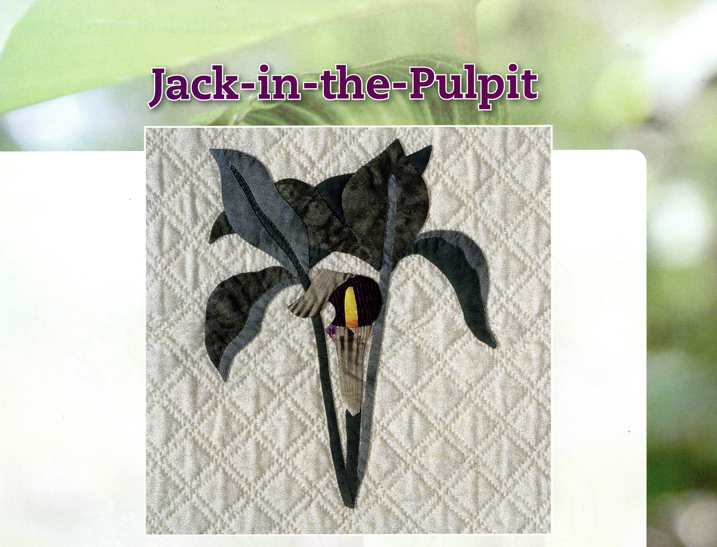 Wildflower Applique & Embroidery Softcover By Oglesby, Bea